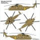 227600011 ETH Arsenal Sikorsky CH-53/S-65 of IDF (Israeli Defense Force)